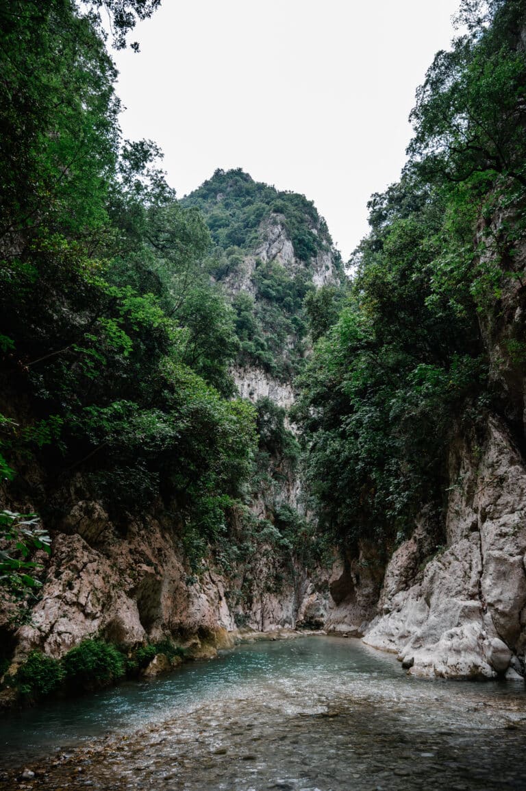 image00018