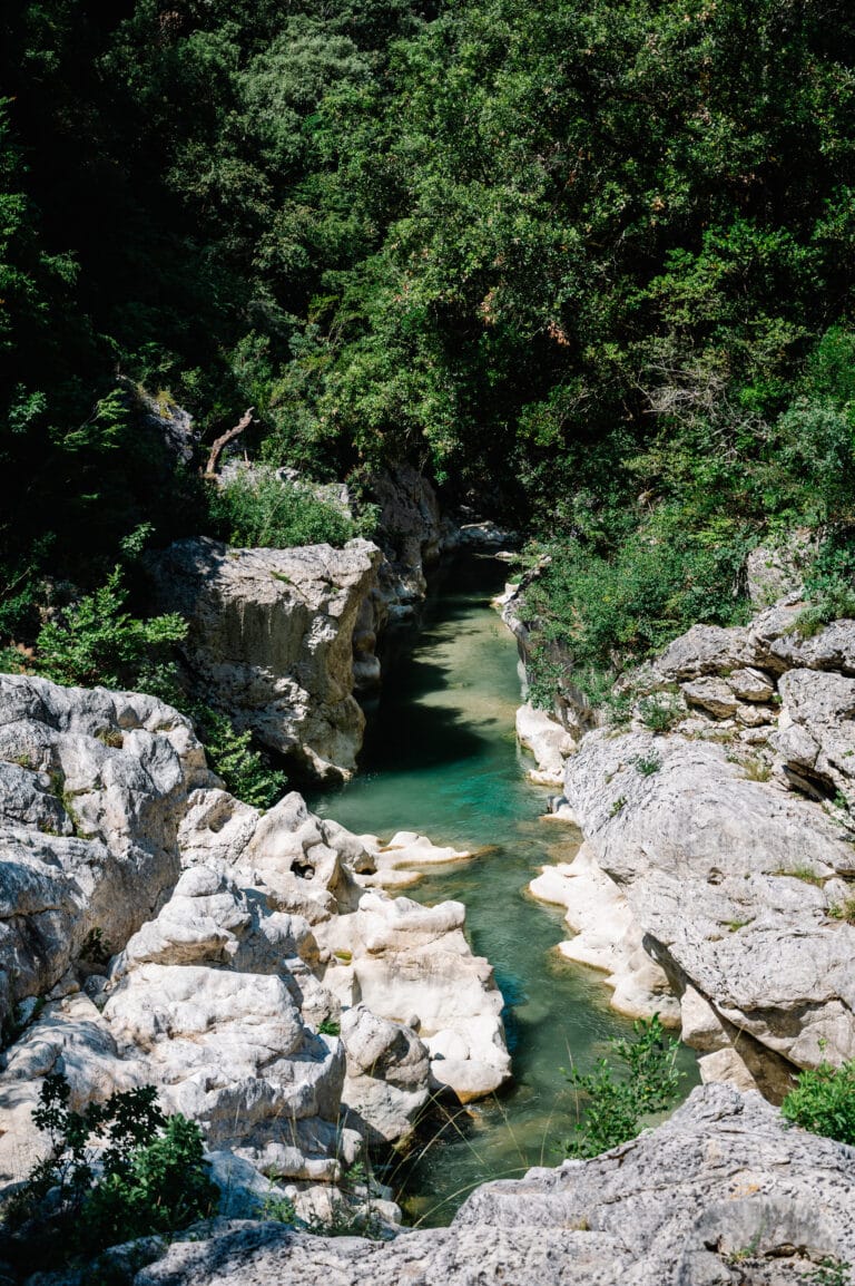 image00020
