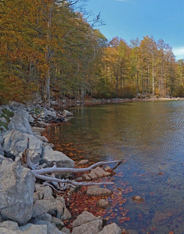 Untitled_Panorama 370-371